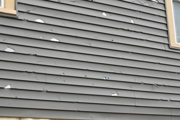 Affordable siding repair and maintenance services in Helena Flats, MT